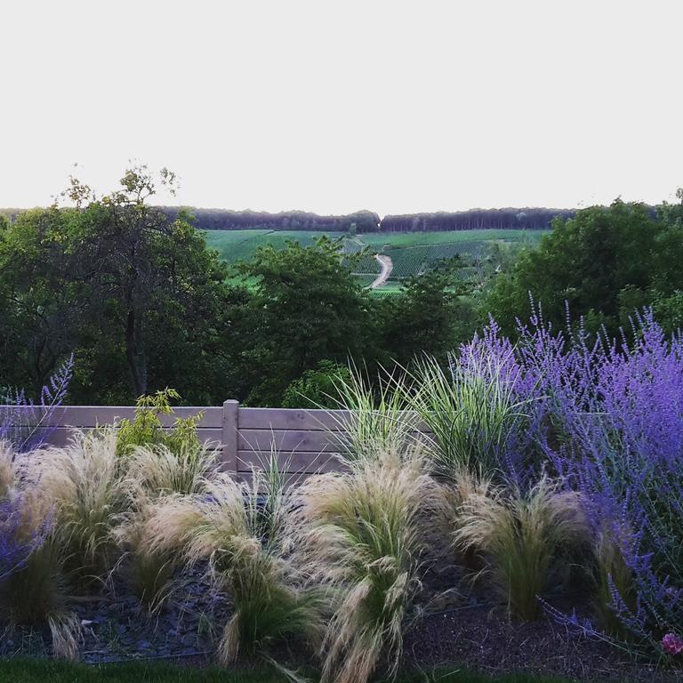 Gite Millesime Et Une Nuit Villers-sous-Châtillon Exteriér fotografie