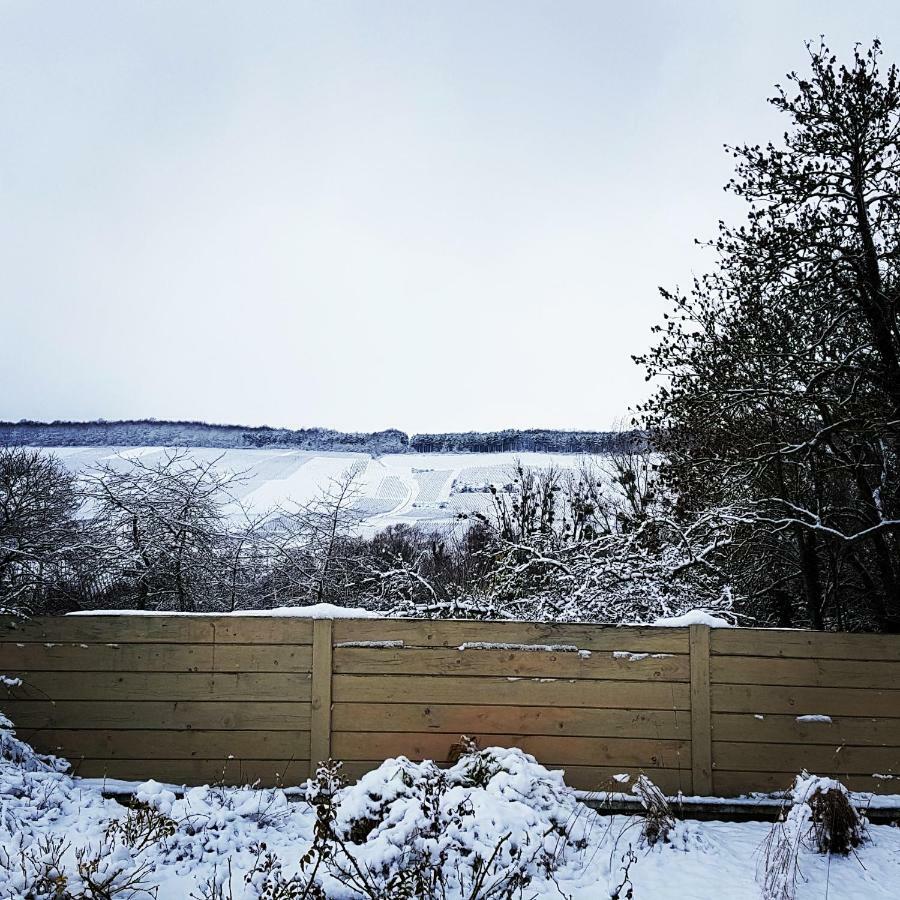 Gite Millesime Et Une Nuit Villers-sous-Châtillon Exteriér fotografie